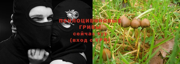 бутират Алзамай