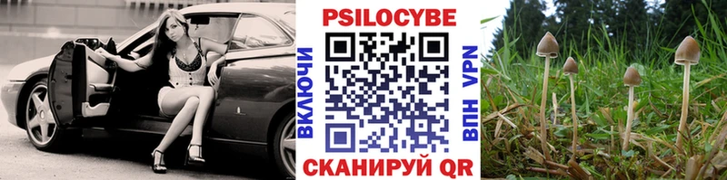 Галлюциногенные грибы Cubensis где найти Чусовой