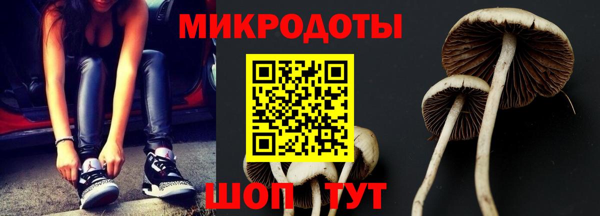 Галлюциногенные грибы мицелий Чусовой