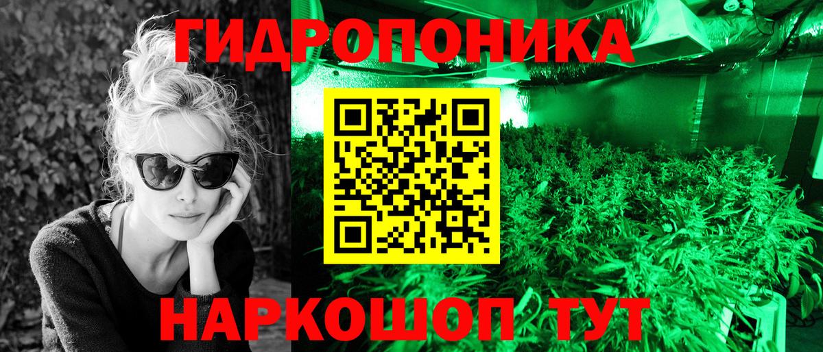 Бошки марихуана конопля  Каннабис Ganja  Чусовой  Конопля марихуана  Вход с VPN 